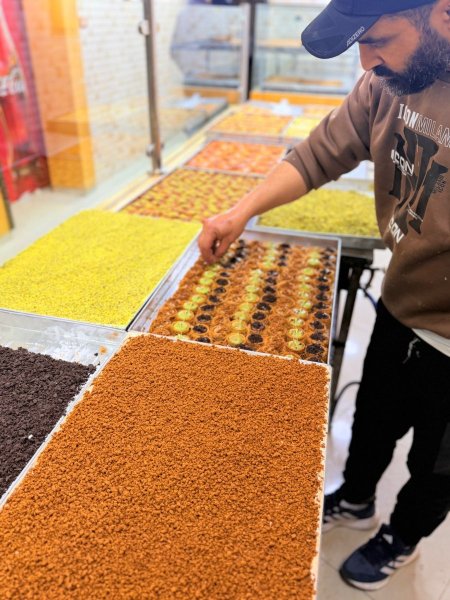 لوتس اوريو بستاشيوا